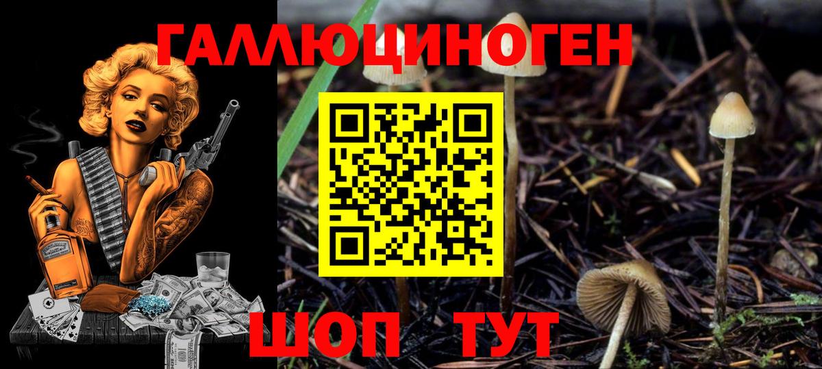 Галлюциногенные грибы Psilocybe  Псилоцибиновые грибы Magic Shrooms  Вход с VPN  Бузулук 